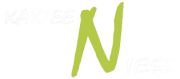 Kakteen Niess